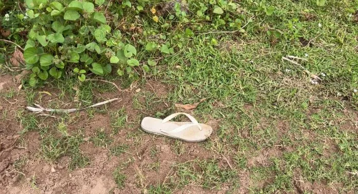Jovem é encontrado morto com nove tiros em terreno no Bessa, em João Pessoa