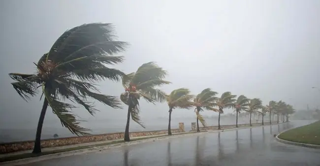 Paraíba entra em alerta de vendaval; Inmet prevê rajadas de até 60 km/h